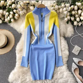 Ivy Color Block Sheath Knit Dress